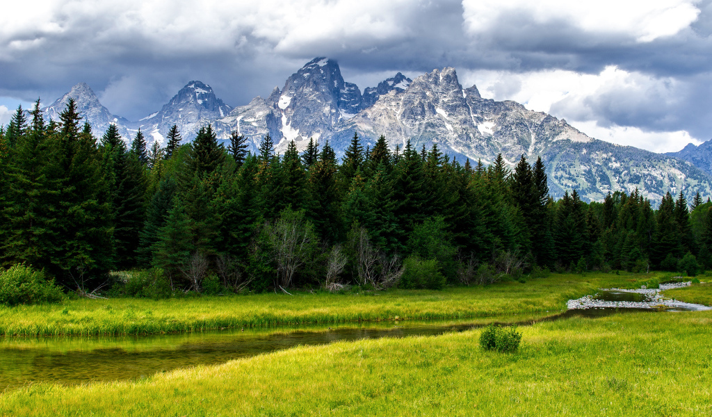 Зелёные деревья на фоне гор