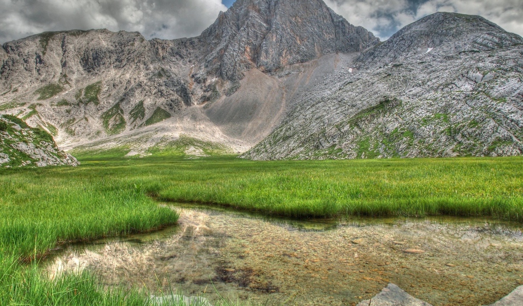 Заросшее травой озеро