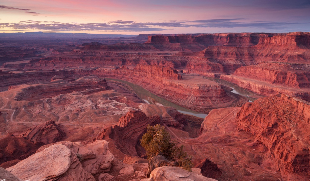 Розовый каньон