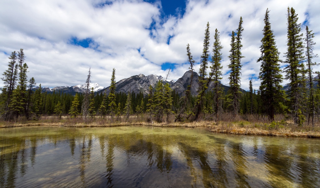 Маленькое озеро и красивые горы