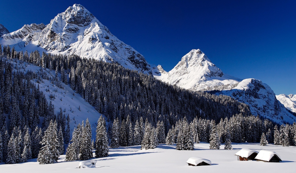 Снежные горы и лес в снегу