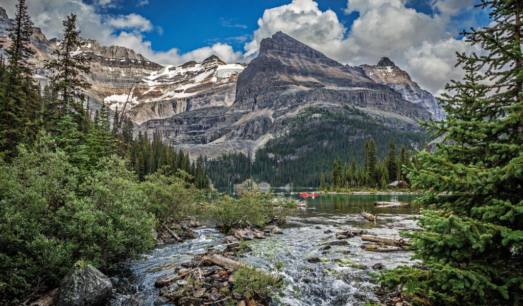 Горная река среди леса
