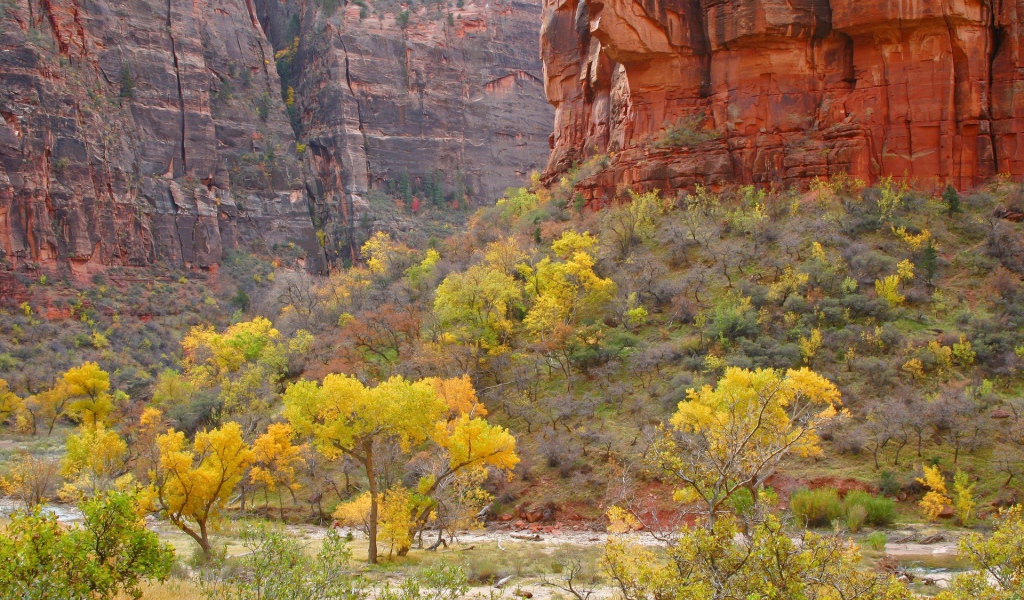 Растительность в горах