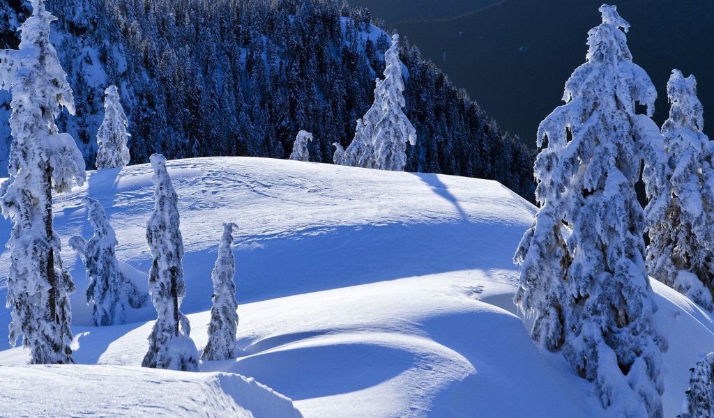 Горный пейзаж Колумбии