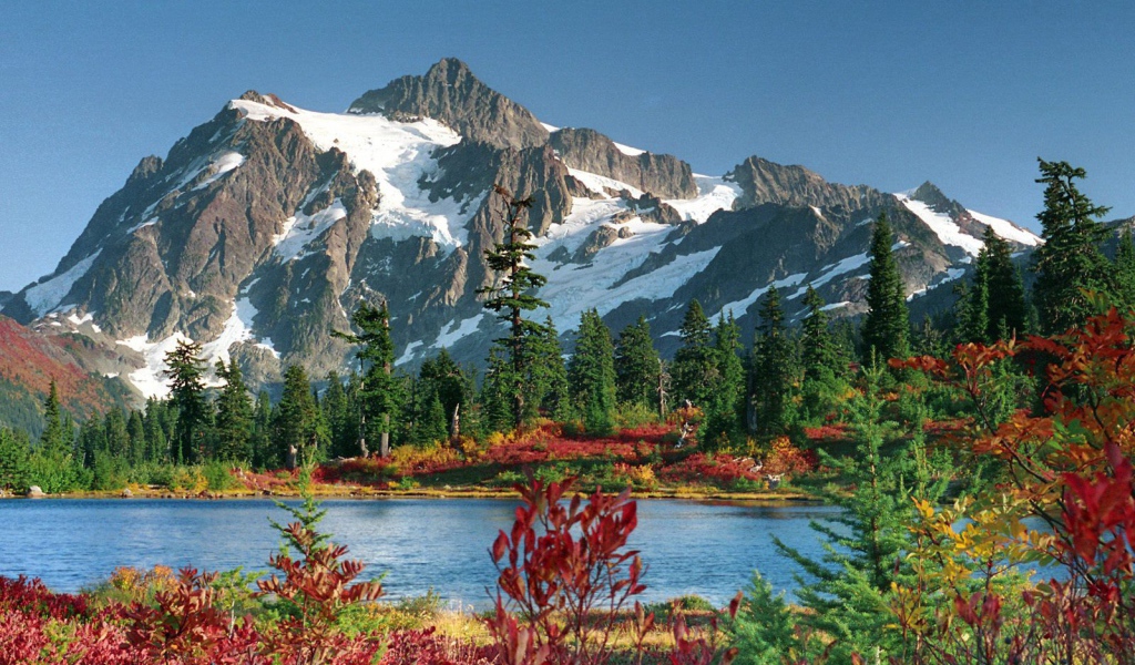 Озеро и лес в горах