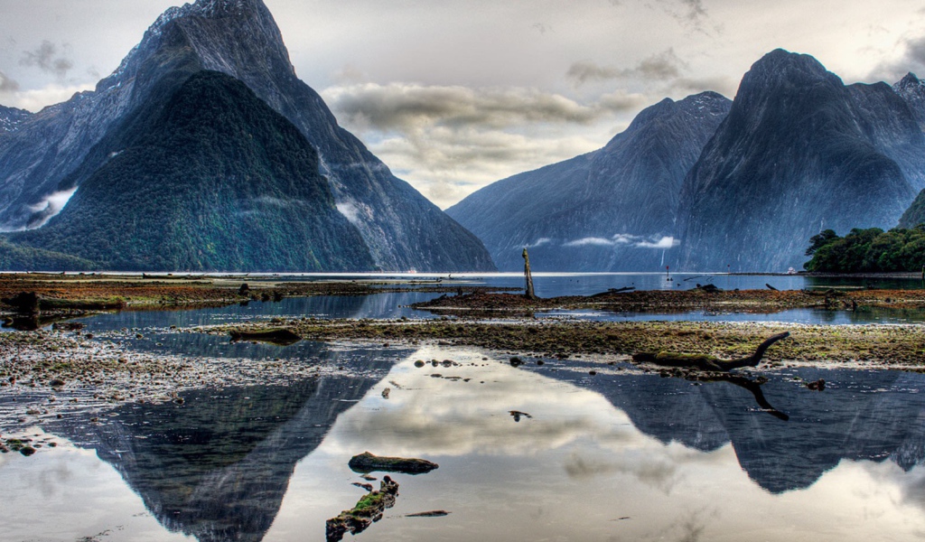 Дикая природа гор