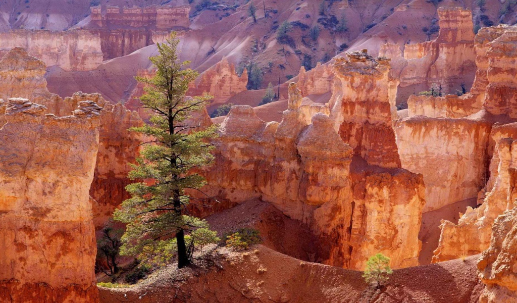 Каньон утах в америке