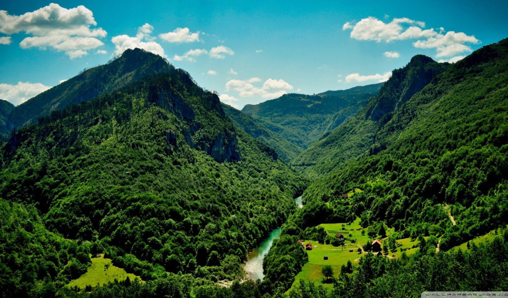	   Green mountains and the river