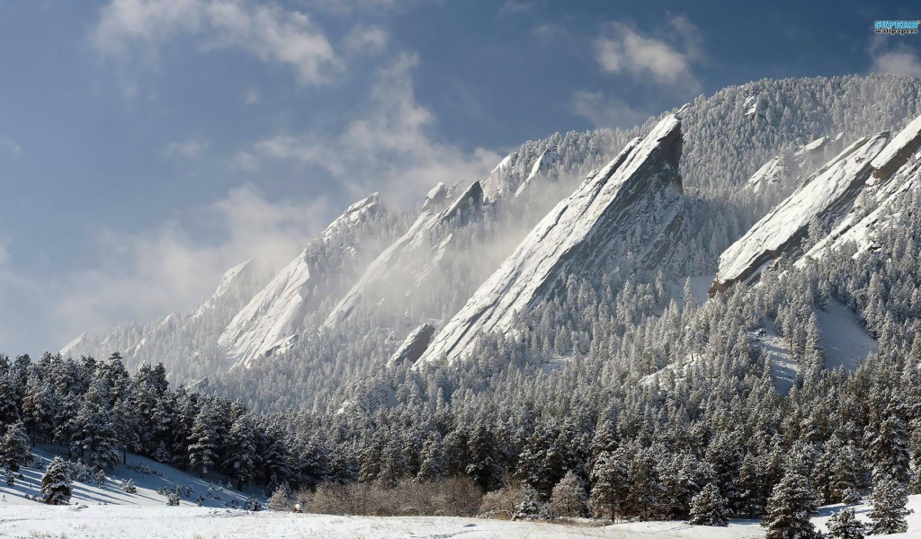 Скалы и деревья