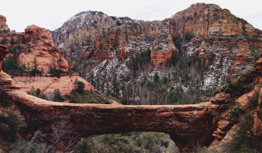 Мост через ущелье