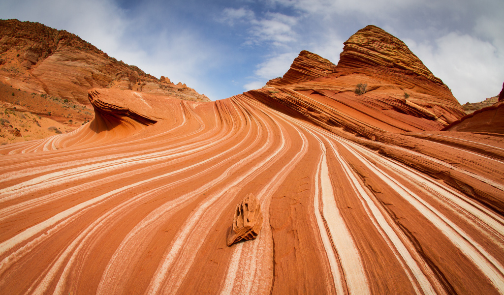 Белые линии на песке