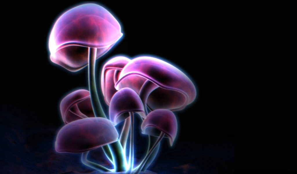 Фиолетовые грибы