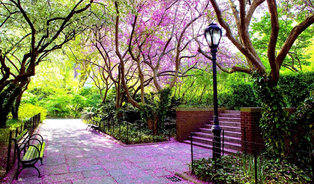 Зеленый парк с фонарем