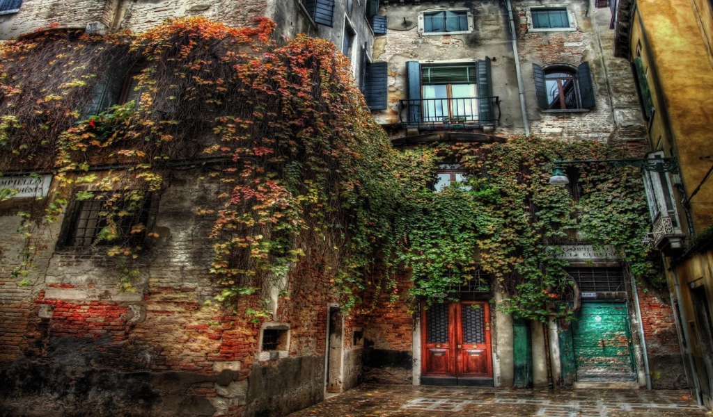 Старый дом заросший травой