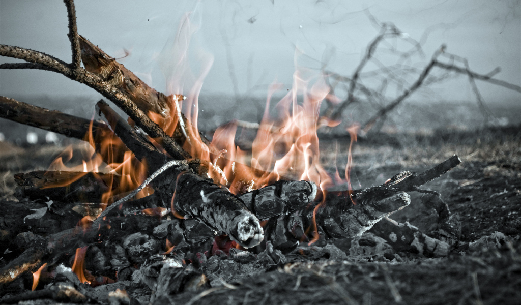 Огонь костра