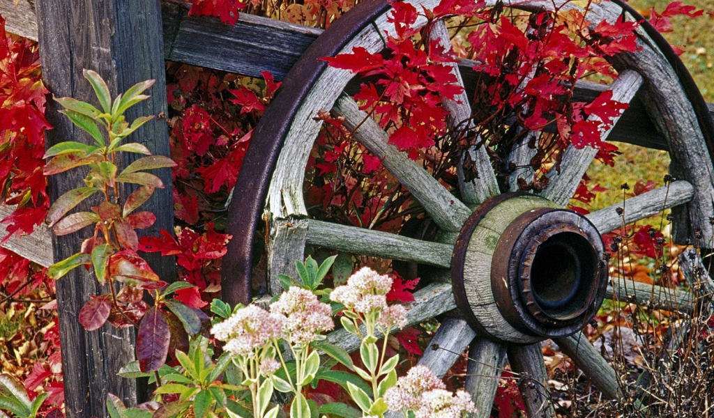 Колесо от старой телеги
