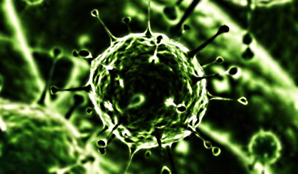 Вирус под микроскопом