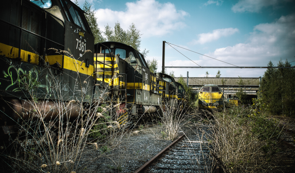 Старая заросшая травой железная дорога