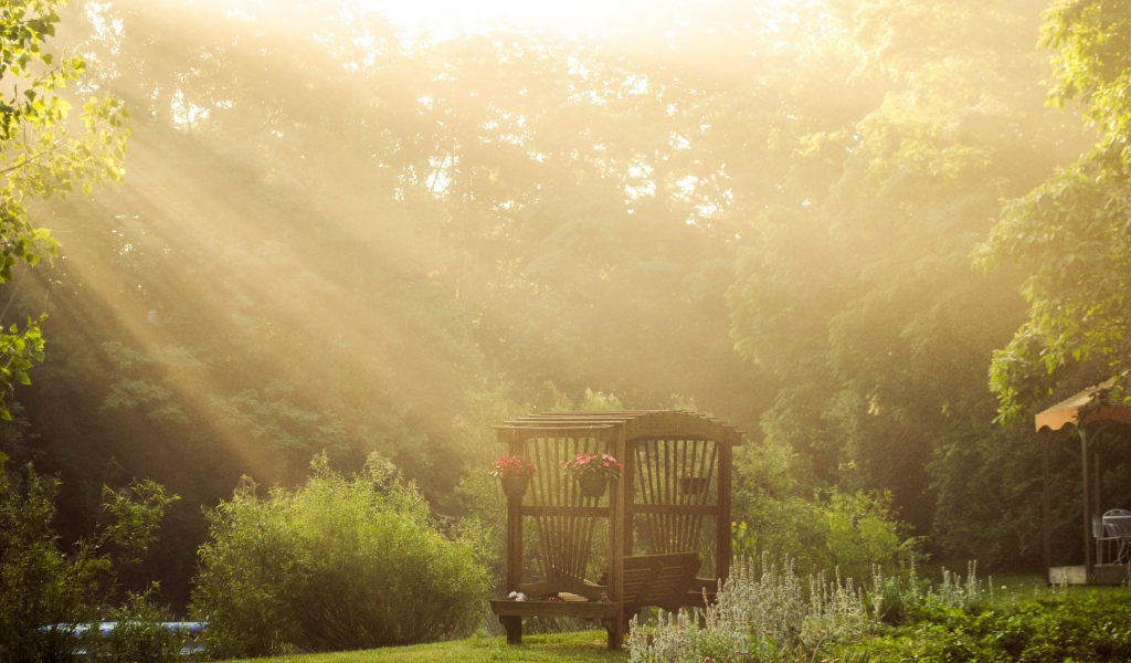 Лучи солнца через деревья