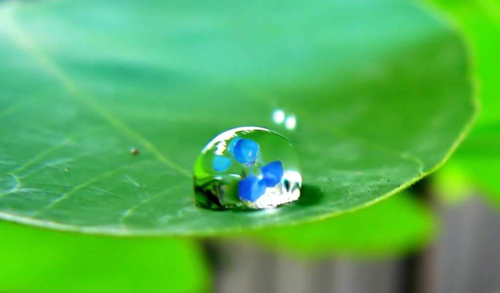 Отражение в капле воды