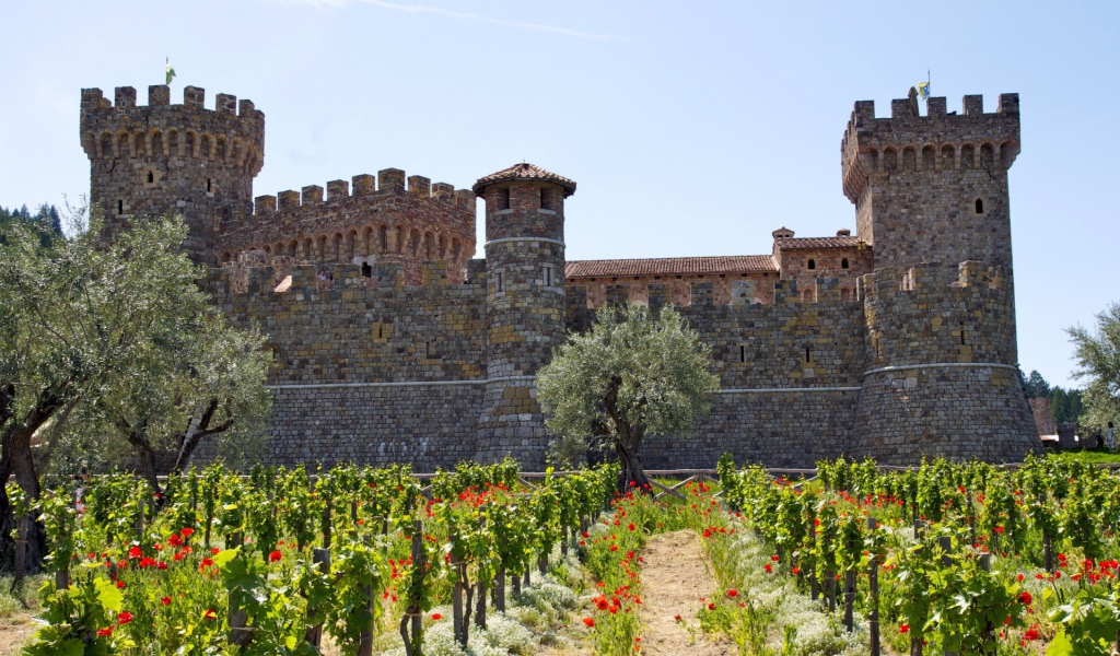 Виноградник у крепости