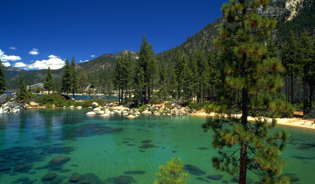 Ели среди озер