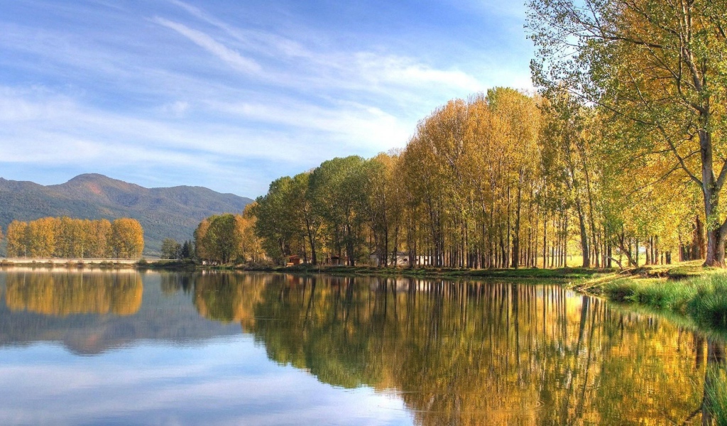 Осенний лес на берегу озера