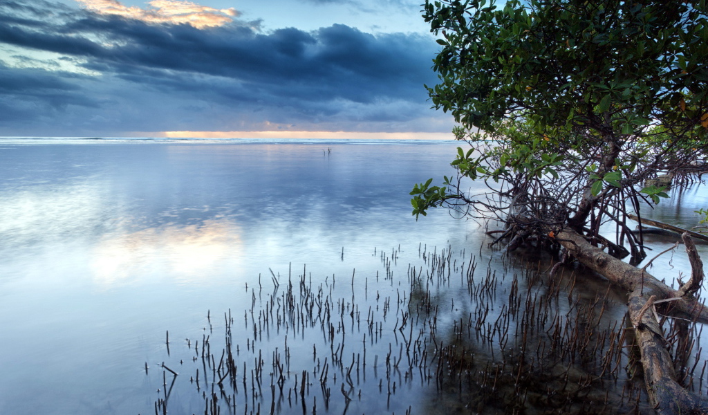 Темные облака над озером