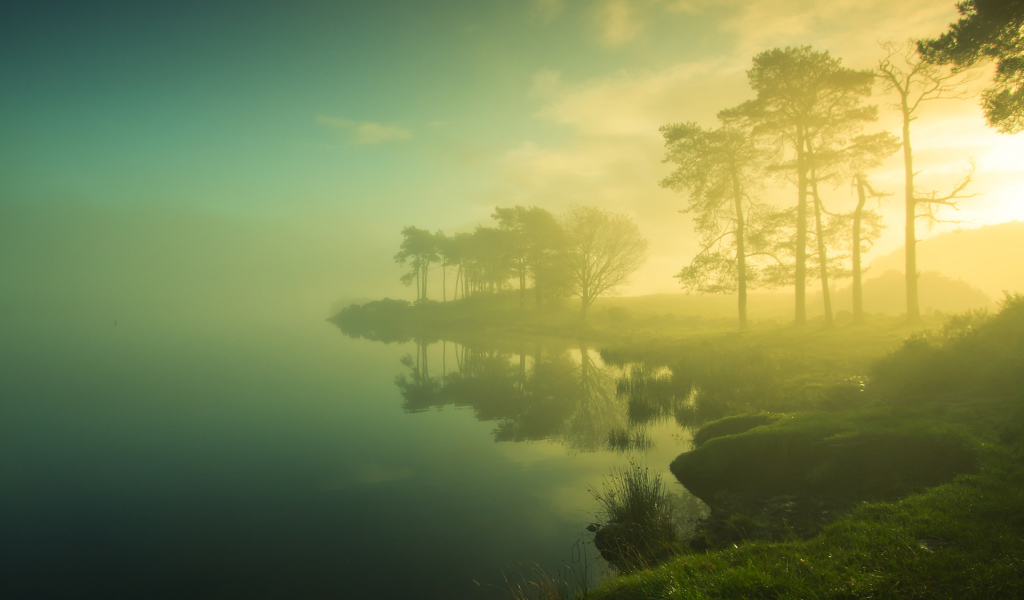 Туман на берегу озера