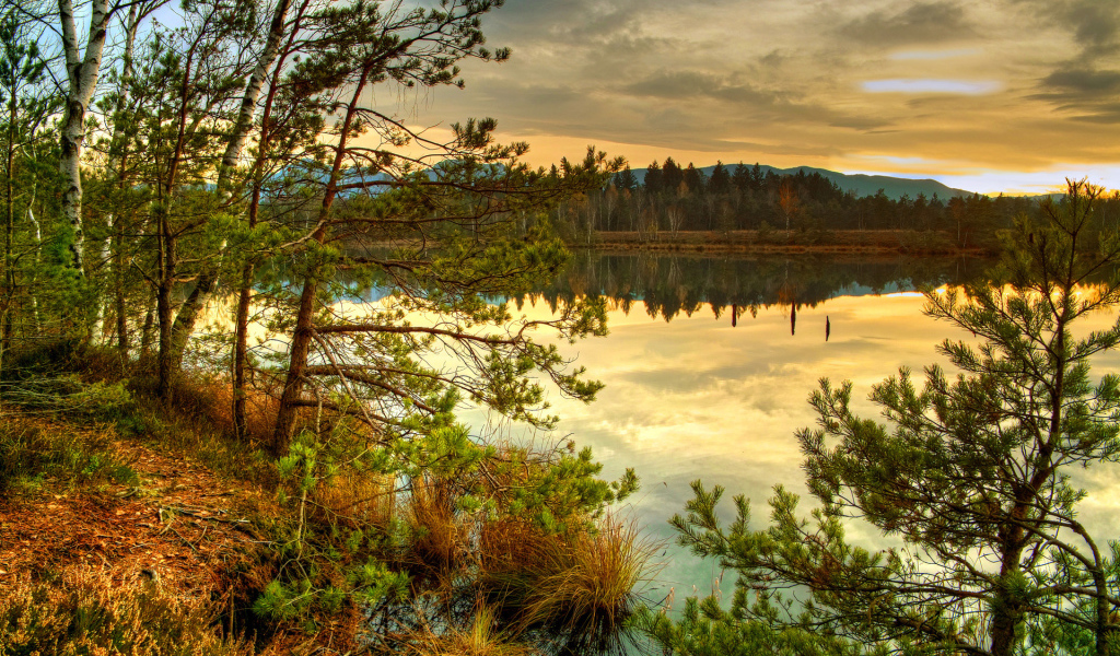 Лесное озеро на закате