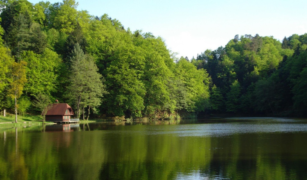 Forest house at the lake