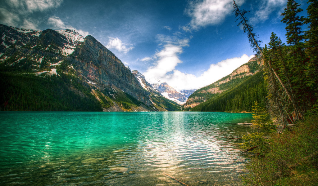 Зеленая вода в озере