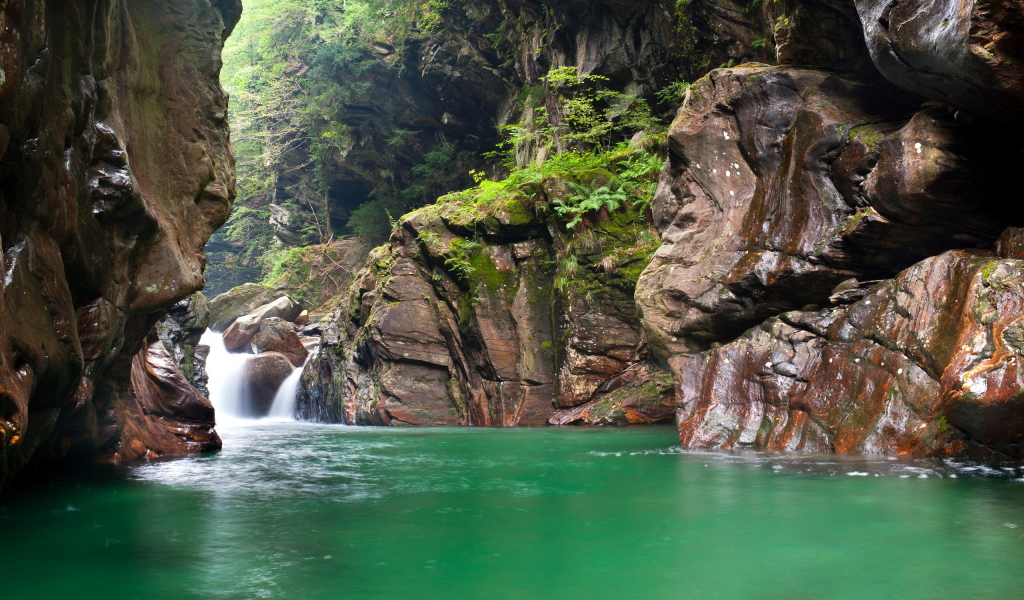 Зеленая вода в реке