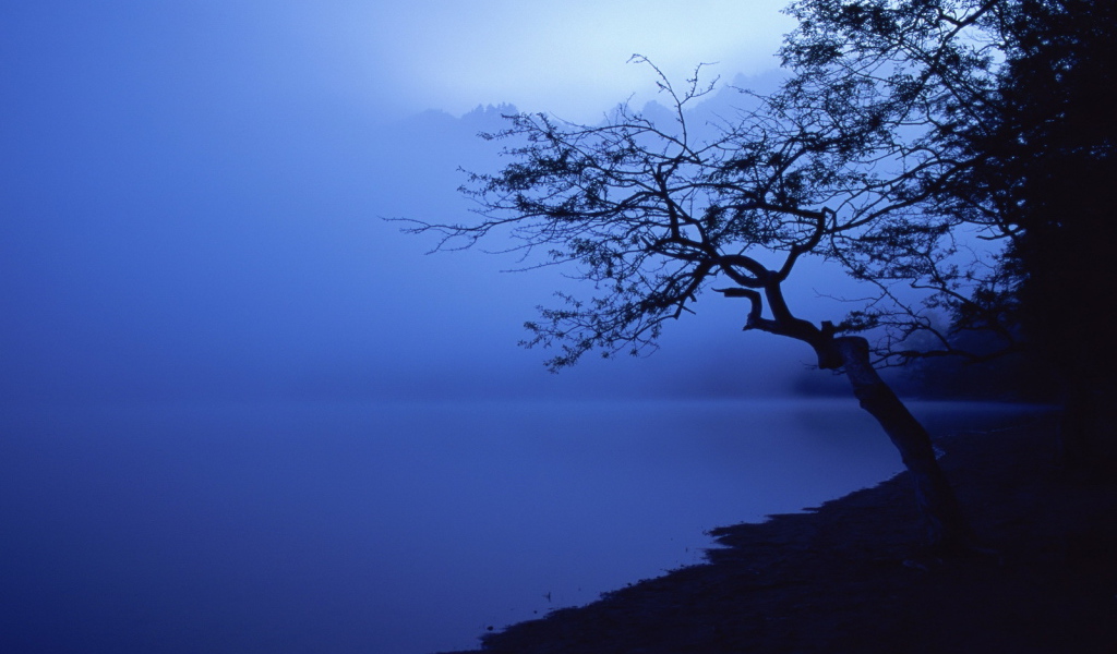 Lake in the blue fog