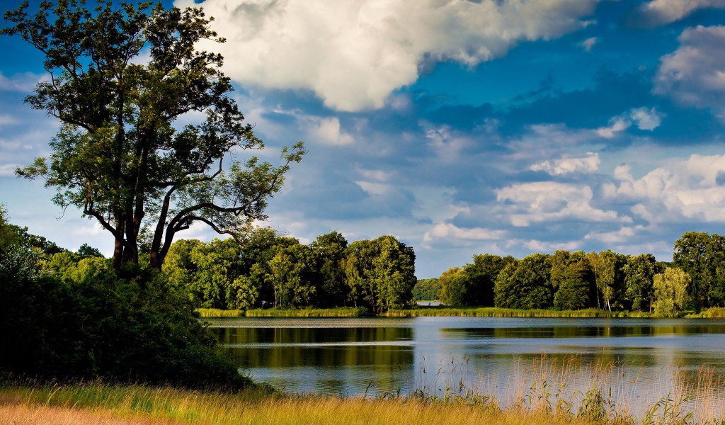 Озеро среди лугов