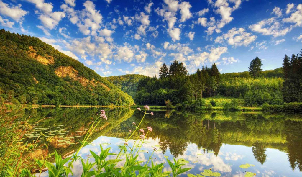 Озеро среди лесистых холмов