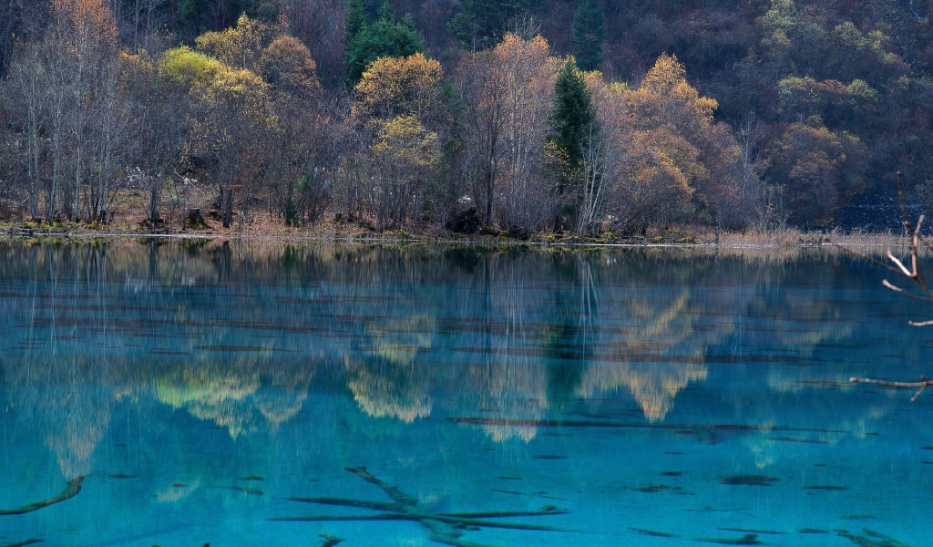 Национальный парк в Китае