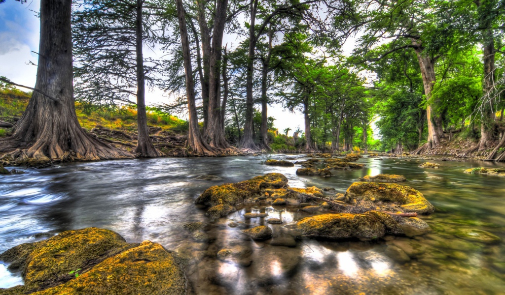 Природа вдоль реки