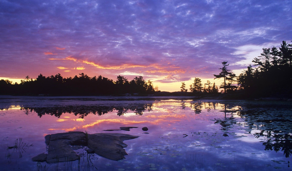 Заросшее озеро на закате