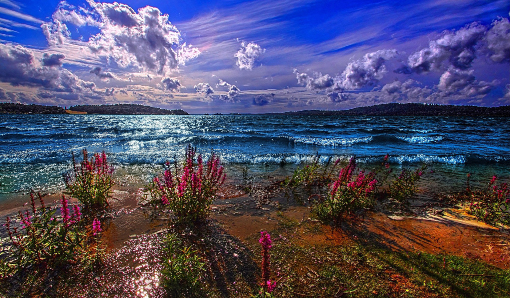 Красные цветы на берегу озера