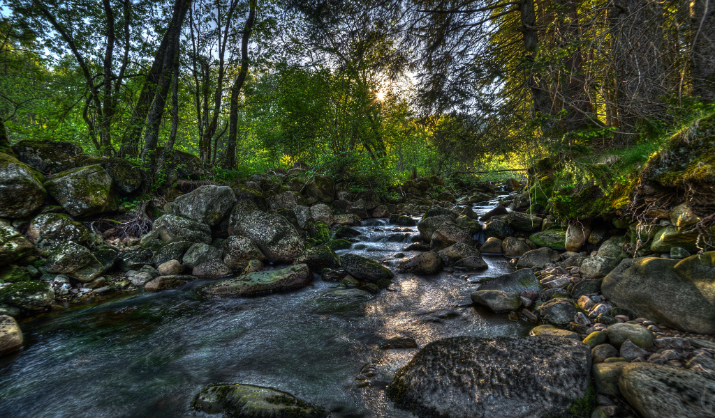 Река в Норвегии