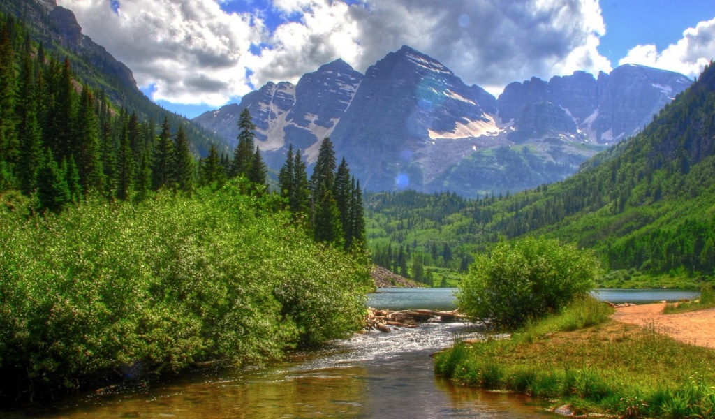 Река в зеленых зарослях