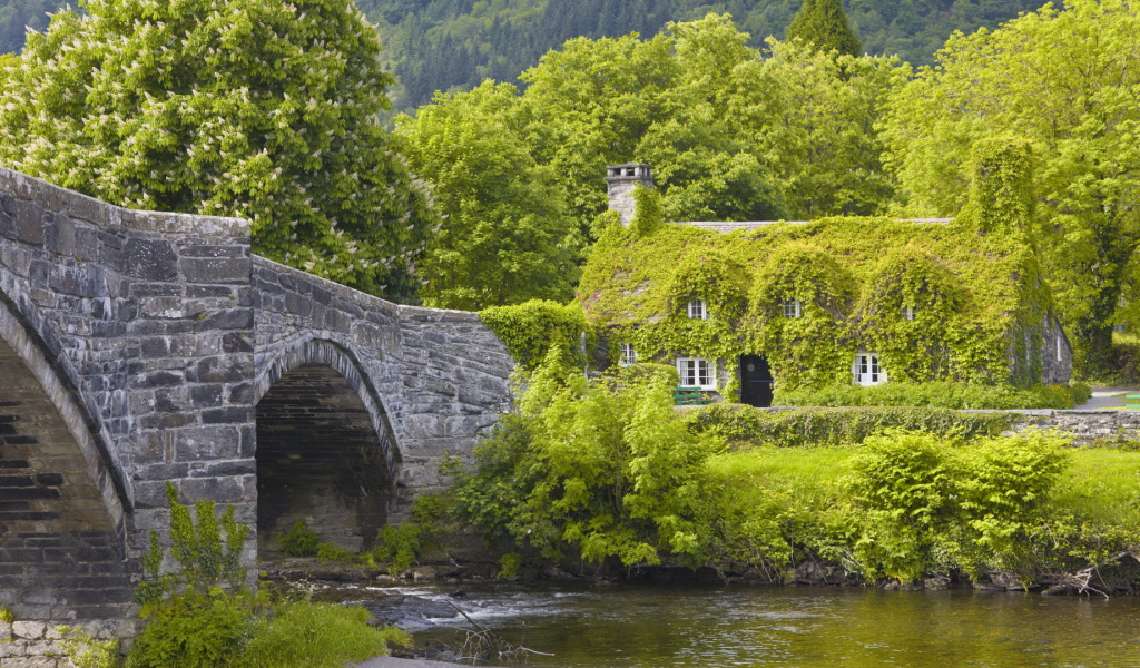 Каменный мост и дом