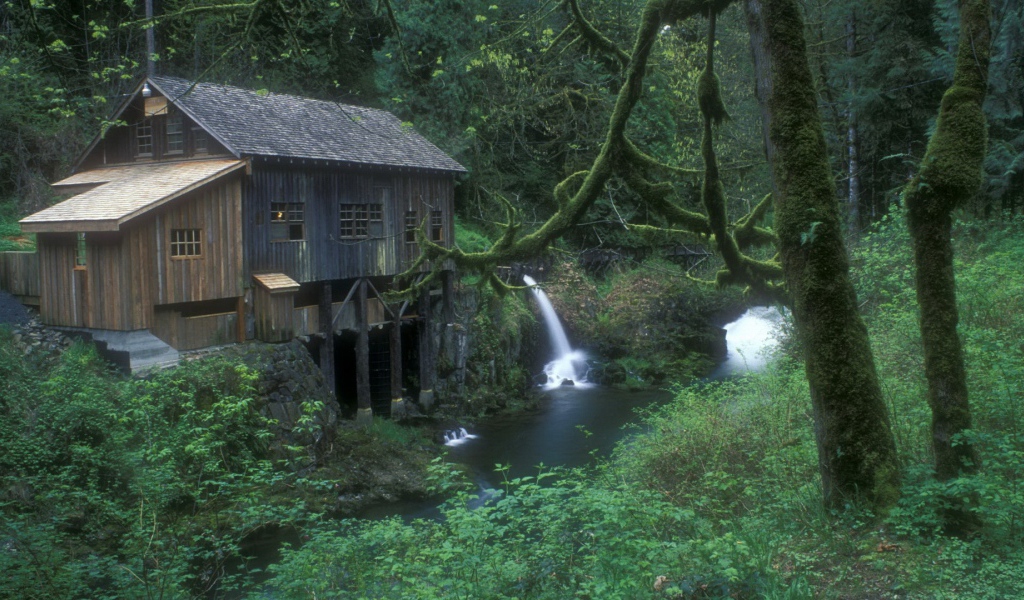 Плотина на реке в лесу