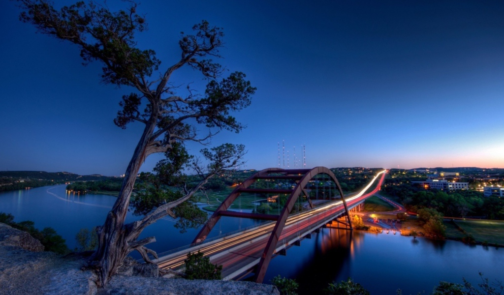 Дерево на скале и мост