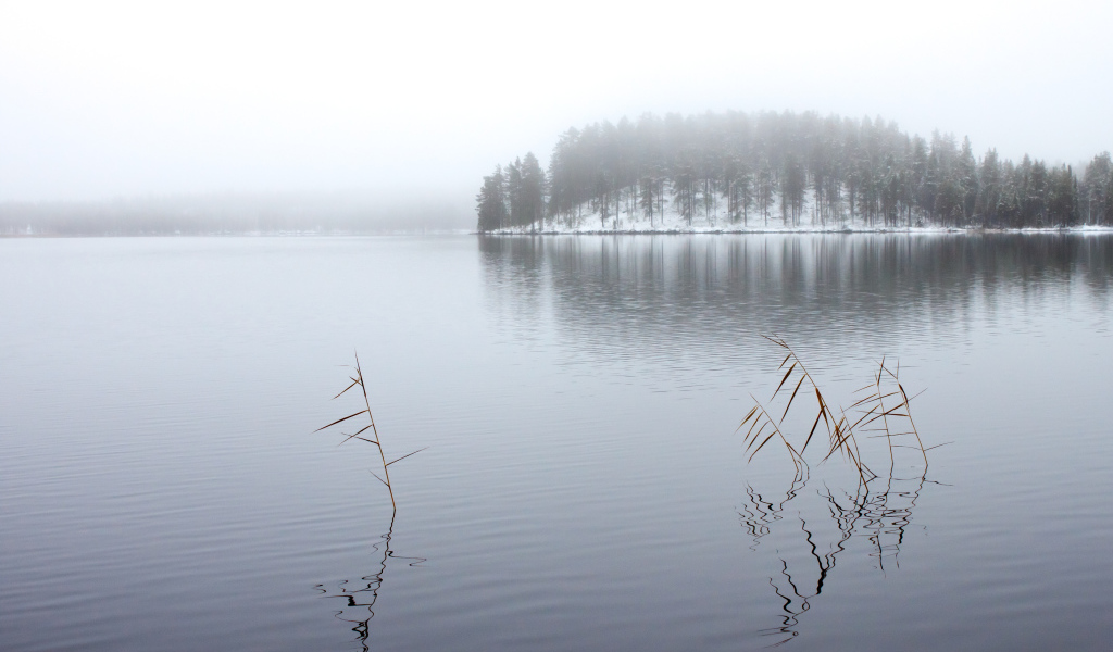Зимнее озеро в тумане