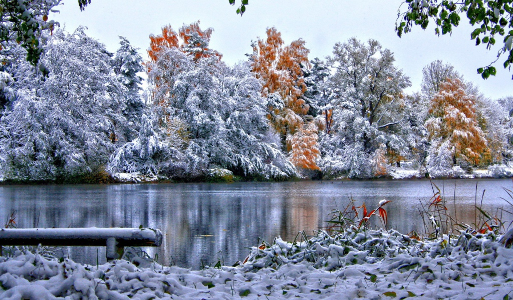 Зимний пейзаж у реки