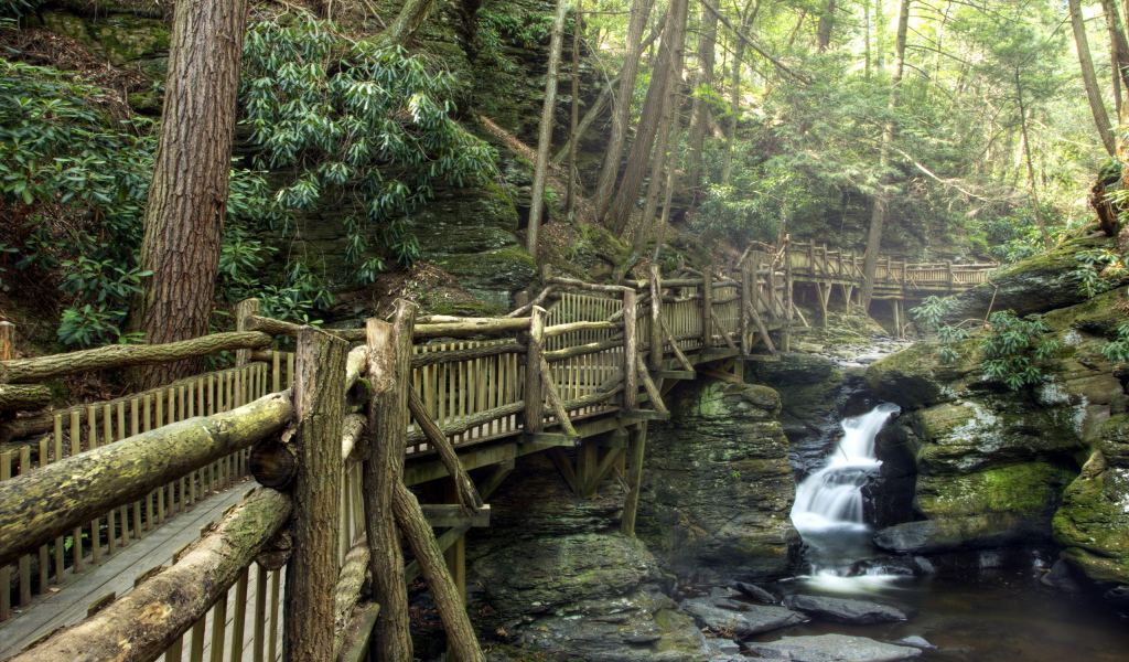 Деревянный мост