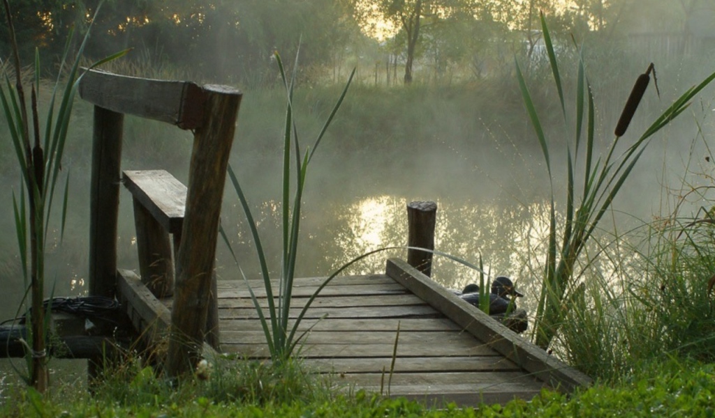 Утренний туман над прудом