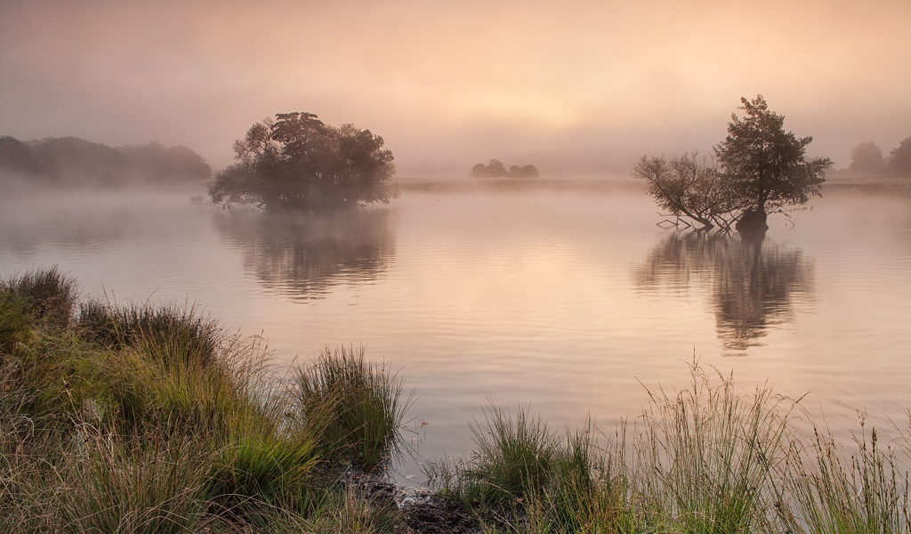 Утро в Англии